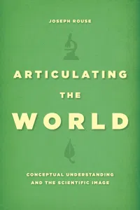 Articulating the World_cover