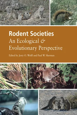 Rodent Societies