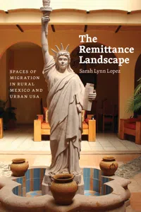 The Remittance Landscape_cover