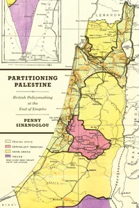 Partitioning Palestine_cover