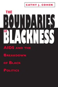 The Boundaries of Blackness_cover