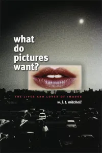 What Do Pictures Want?_cover
