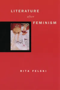 Literature after Feminism_cover