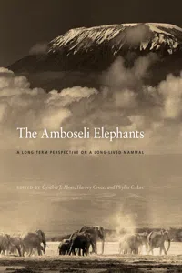The Amboseli Elephants_cover