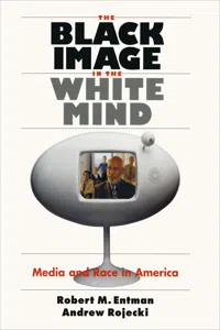 The Black Image in the White Mind_cover