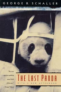 The Last Panda_cover