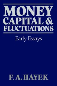 Money, Capital, and Fluctuations_cover