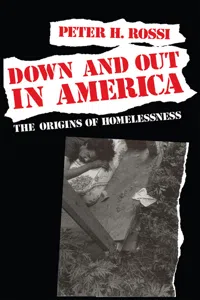 Down and Out in America_cover
