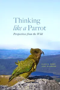 Thinking like a Parrot_cover