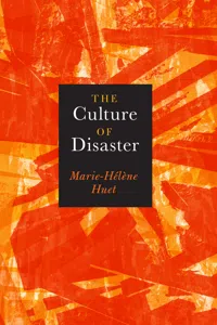 The Culture of Disaster_cover