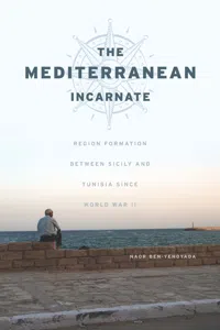 The Mediterranean Incarnate_cover