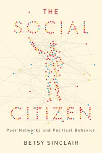 The Social Citizen_cover