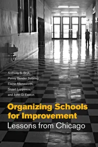 Organizing Schools for Improvement_cover