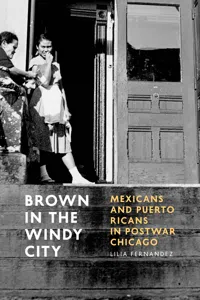 Brown in the Windy City_cover