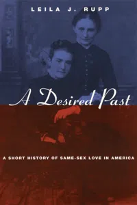 A Desired Past_cover
