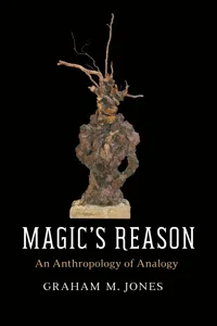 Magic's Reason_cover