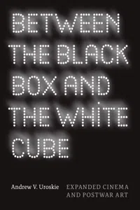 Between the Black Box and the White Cube_cover