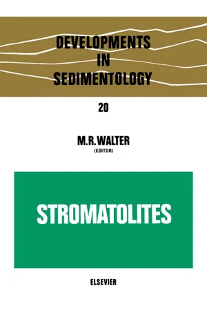 Stromatolites