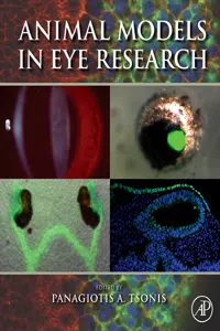 Animal Models in Eye Research_cover