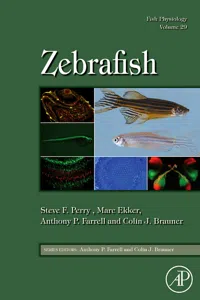 Fish Physiology: Zebrafish_cover