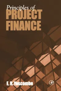 Principles of Project Finance_cover