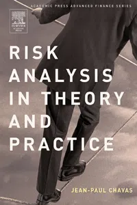 Risk Analysis in Theory and Practice_cover