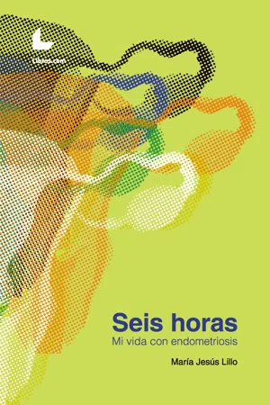 Seis horas