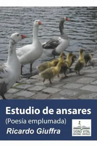 Estudio de Ansares_cover