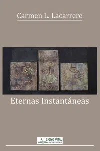 Eternas instantáneas_cover