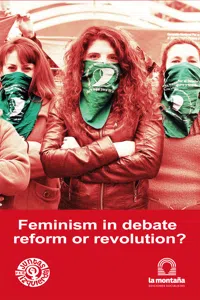 Feminism in debate, reform or revolution?_cover