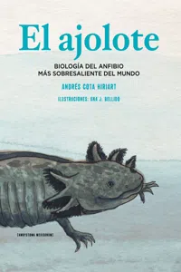 El ajolote_cover