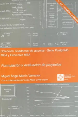 Formulación y evaluación de proyectos. 2.ª edición