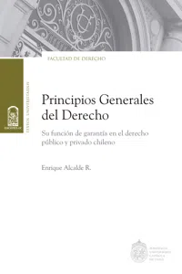 Principios generales del Derecho_cover