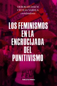 Los feminismos en la encrucijada del punitivismo_cover