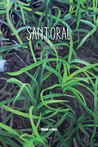 Santoral_cover