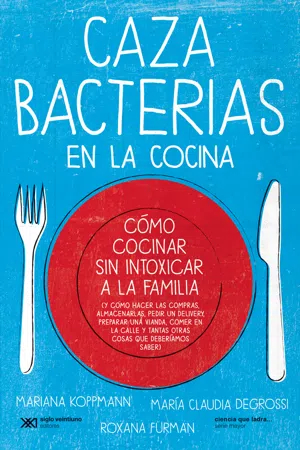 Cazabacterias en la cocina