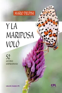 Y la mariposa voló_cover