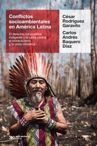Conflictos socioambientales en América Latina_cover