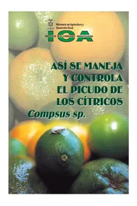 Así se maneja y controla el picudo de los cítricos Compsus sp._cover