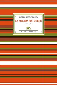 La mirada sin dueño_cover