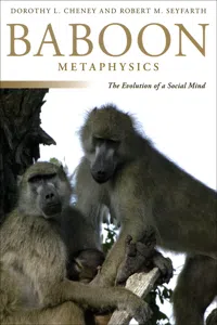 Baboon Metaphysics_cover