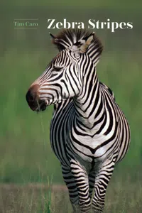 Zebra Stripes_cover