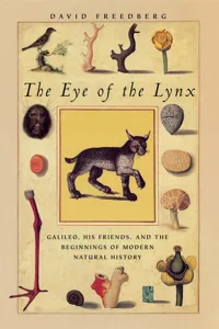 The Eye of the Lynx_cover