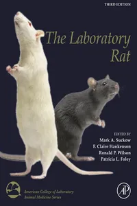 The Laboratory Rat_cover