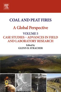 Coal and Peat Fires: A Global Perspective_cover