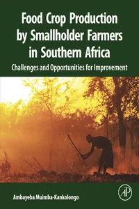 Food Crop Production by Smallholder Farmers in Southern Africa_cover