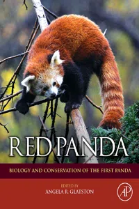 Red Panda_cover