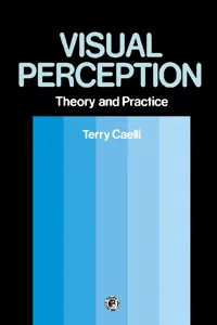 Visual Perception: Theory and Practice_cover