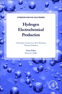 Hydrogen Electrochemical Production_cover