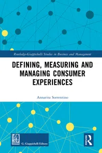 Defining, Measuring and Managing Consumer Experiences_cover